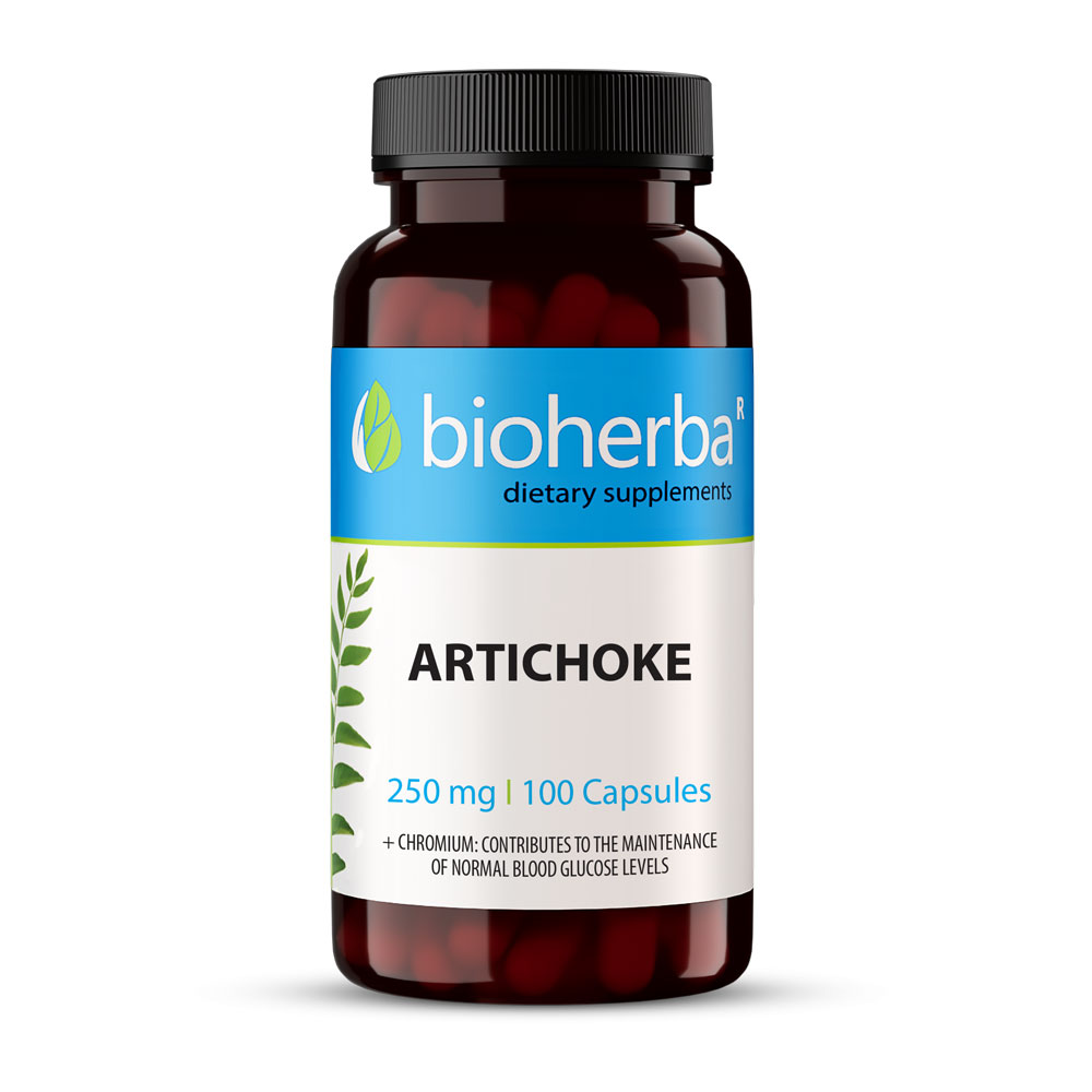 Artichoke supplement,