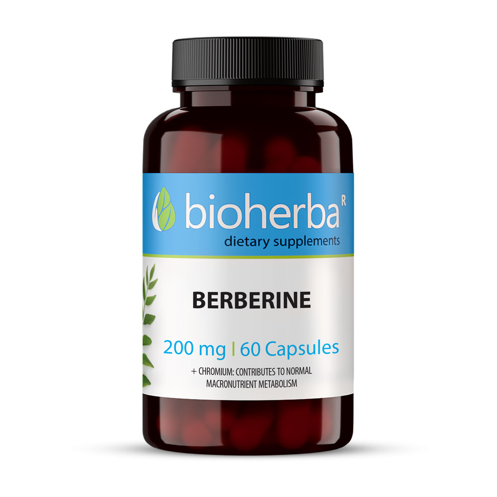 BERBERIBE Berberine capsules