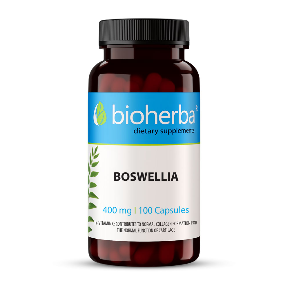 Boswellia