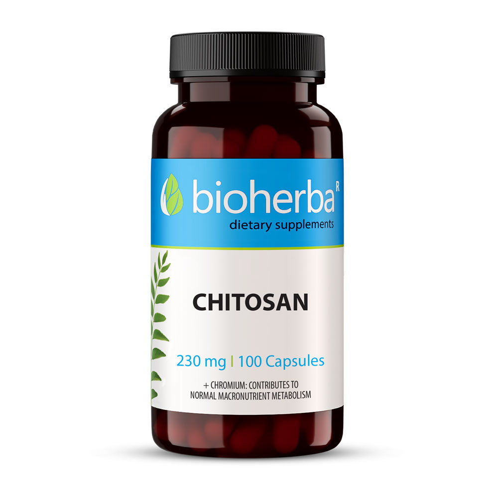 CHITOSAN CHITOSAN