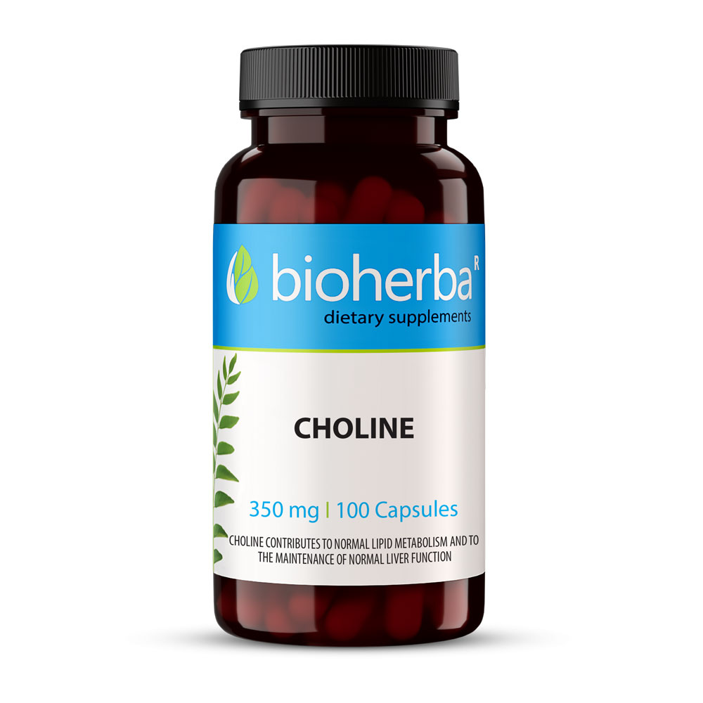 CHOLINE