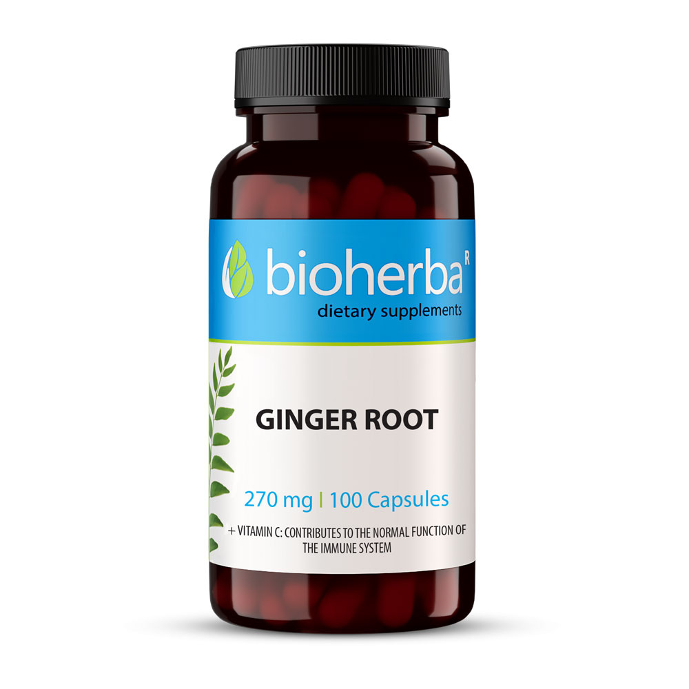 Ginger Root
