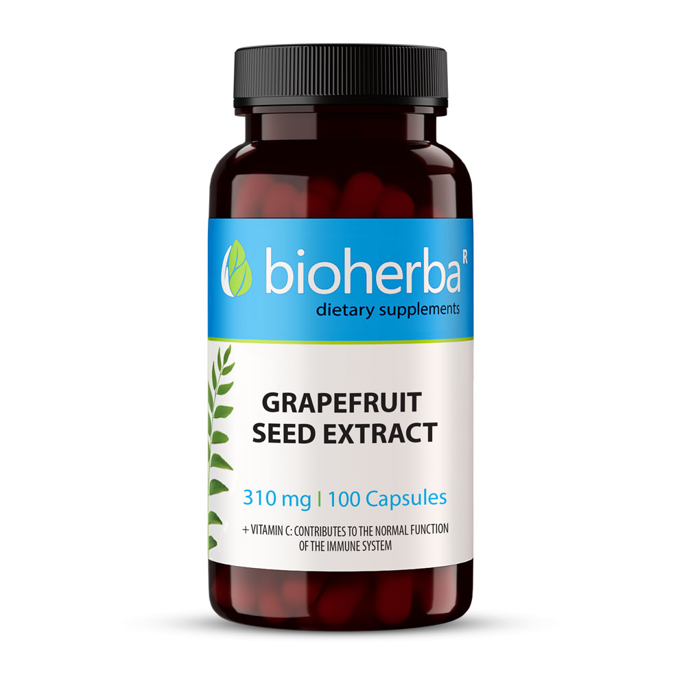 Grapefruit Seed Extract