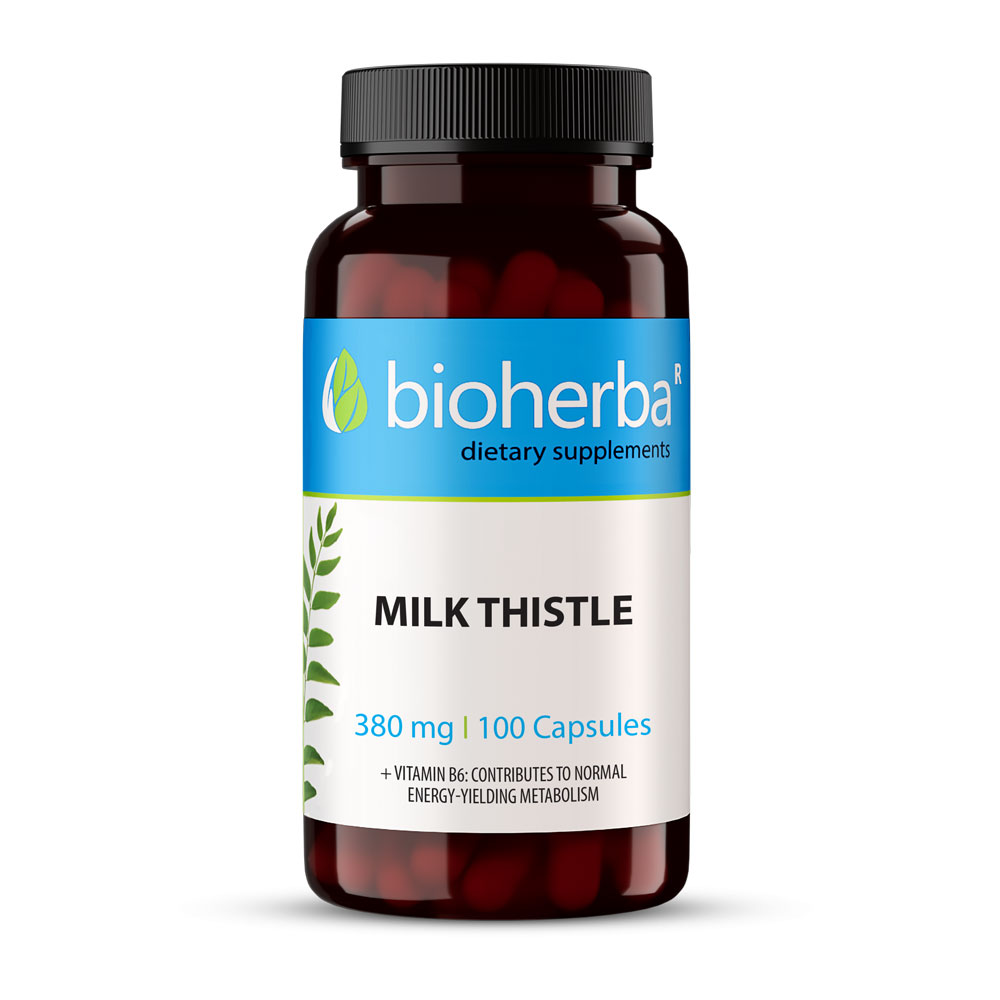 Milk Thistle supplement