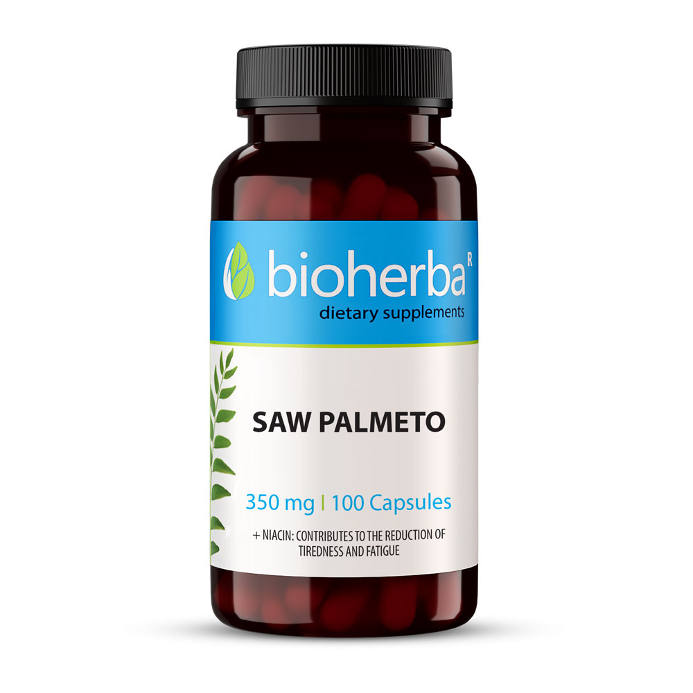 Saw Palmetto