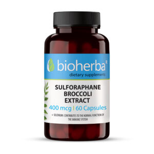 Sulforaphane Broccoli Extract