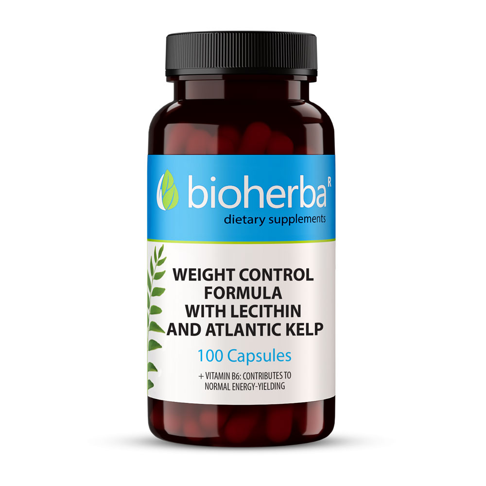 Weight Loss Control 4-in-1 Formula
