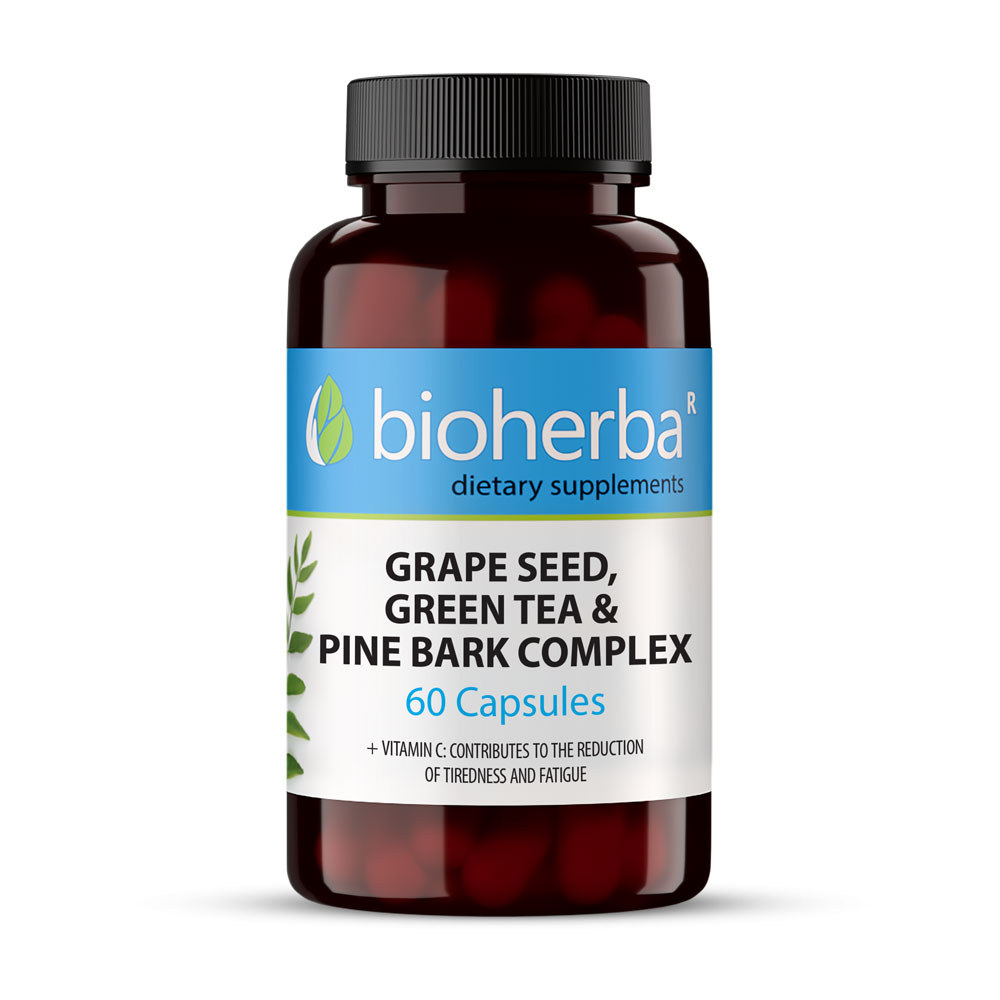 Grape Seed Extract