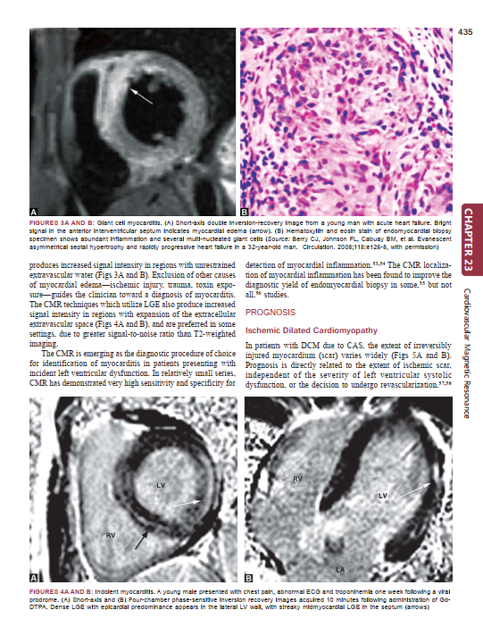 2025-01-31 15_34_55-Cardiology_An_Illustrated_Textbook.pdf - Foxit PDF Editor
