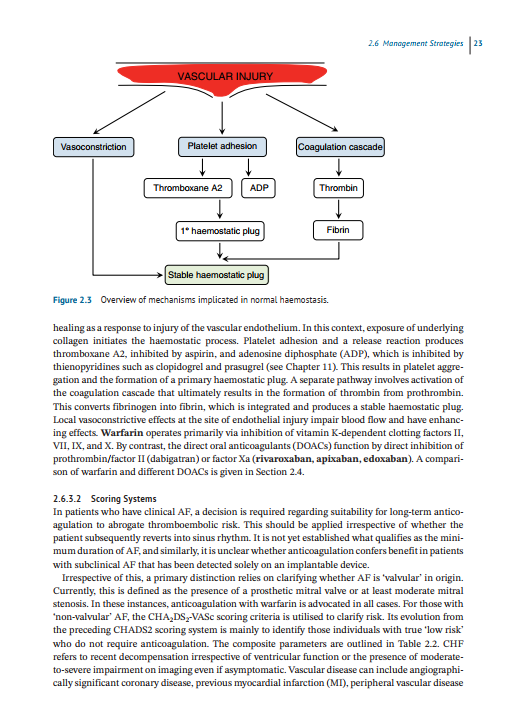 2025-01-31 15_54_52-Cardiology_at_its_Core.pdf - Foxit PDF Editor