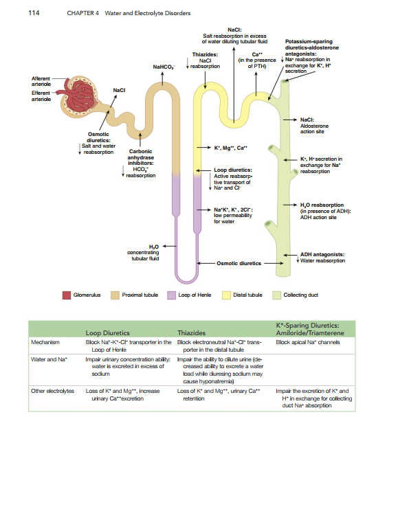 2025-02-05 11_46_48-Critical-Care-Medicine-An-Algorithmic-Approach.pdf - Foxit PDF Editor