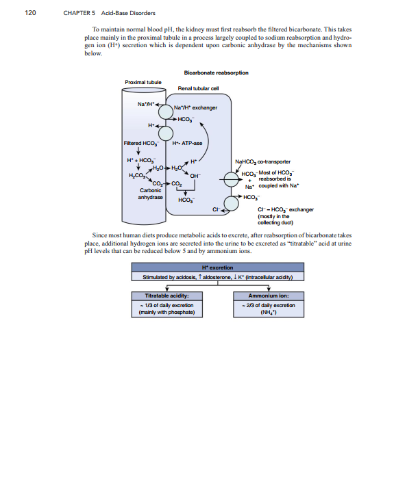 2025-02-05 11_47_20-Critical-Care-Medicine-An-Algorithmic-Approach.pdf - Foxit PDF Editor