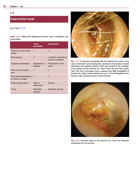 2025-06-09 08_09_50-Diagnosis-in-Otorhinolaryngology.pdf - Foxit PDF Editor