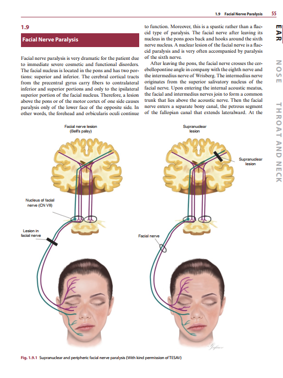 2025-06-09 08_10_11-Diagnosis-in-Otorhinolaryngology.pdf - Foxit PDF Editor