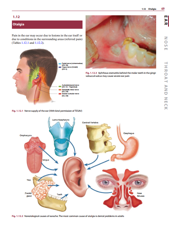 2025-06-09 08_10_25-Diagnosis-in-Otorhinolaryngology.pdf - Foxit PDF Editor