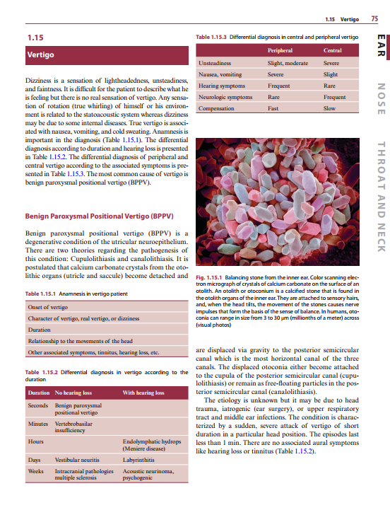 2025-06-09 08_10_36-Diagnosis-in-Otorhinolaryngology.pdf - Foxit PDF Editor
