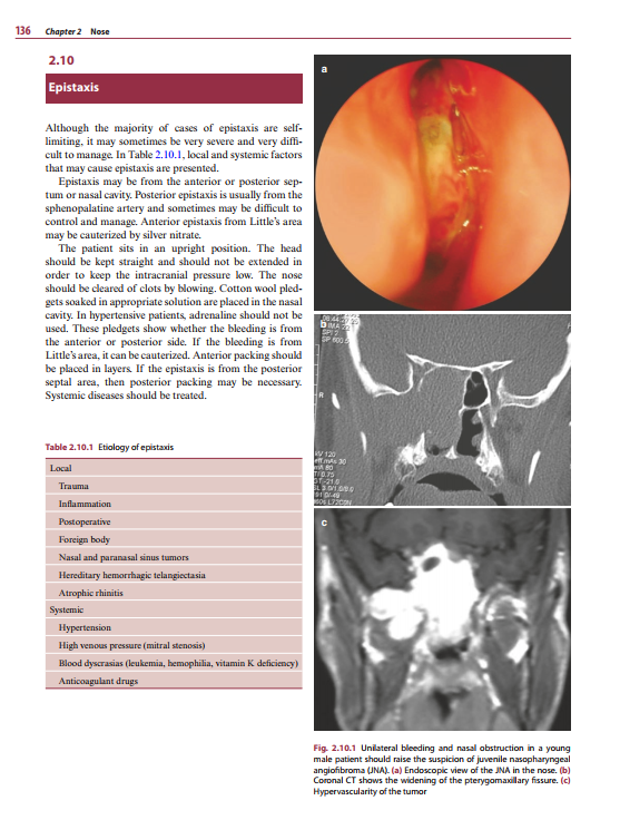 2025-06-09 08_11_01-Diagnosis-in-Otorhinolaryngology.pdf - Foxit PDF Editor