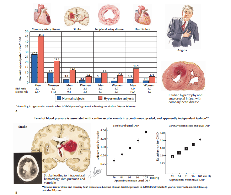 Comprehensive Diagnostic Approach and Differential Diagnosis of Arterial Hypertension: A Clinical Reference