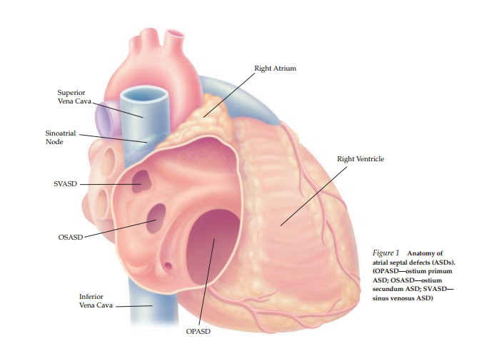 The Architecture of the Heart's Origins: A Comprehensive Clinical Treatise on Congenital Heart Disease