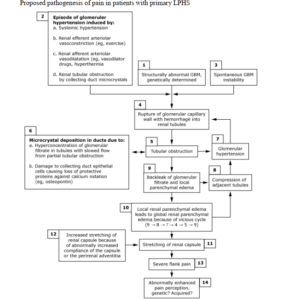 The Clinical Spectrum and Differential Diagnostic Paradigms of Loin Pain-Hematuria Syndrome