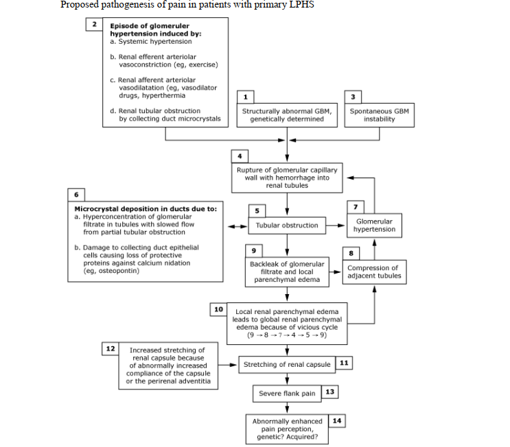 The Clinical Spectrum and Differential Diagnostic Paradigms of Loin Pain-Hematuria Syndrome