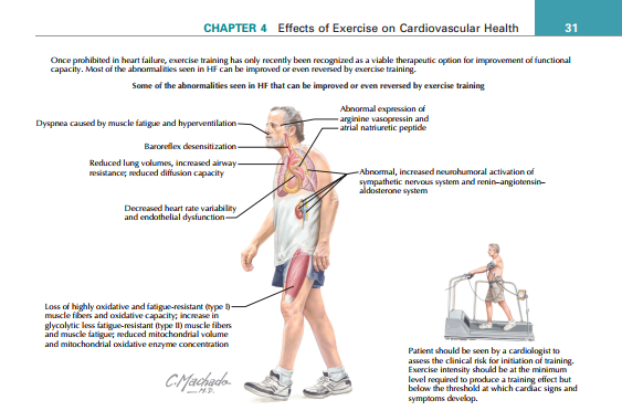 Comprehensive Clinical Analysis of Arterial Hypotension: Etiology, Pathophysiology, Clinical Manifestations, and Diagnostic Stratification