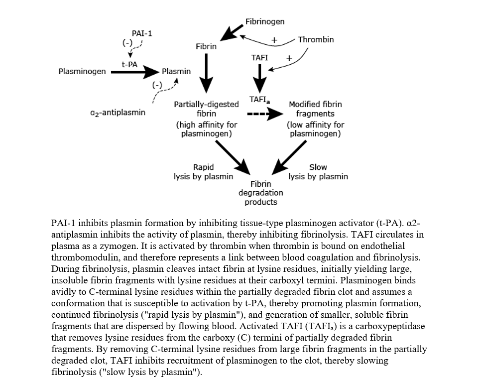 Comprehensive Analysis of Hemostatic Abnormalities in Preeclampsia: Pathophysiological Mechanisms, Clinical Diagnostics, and Therapeutic Implications