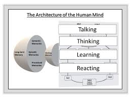 The Architecture of Memory and the Shadows of the Mind: A Comprehensive Clinical Guide to Dementia, Differential Diagnosis, and the Frontiers of Neurological Healing